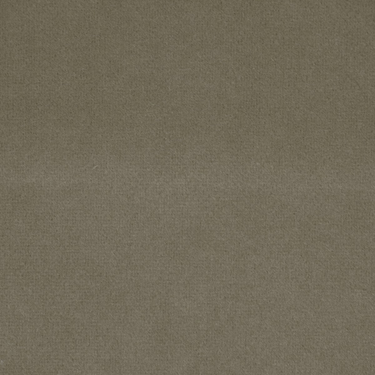 Lusso - Cashmere