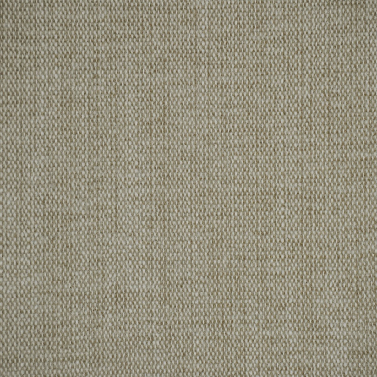Lyra-UV - Cashmere