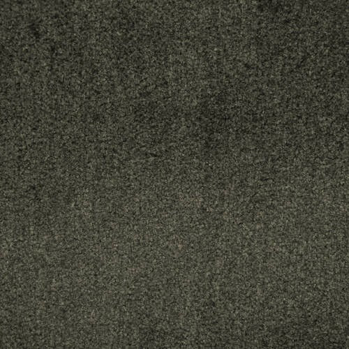 Monet - Cub