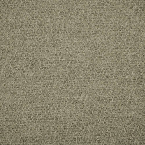 Naomi-UV - Birch