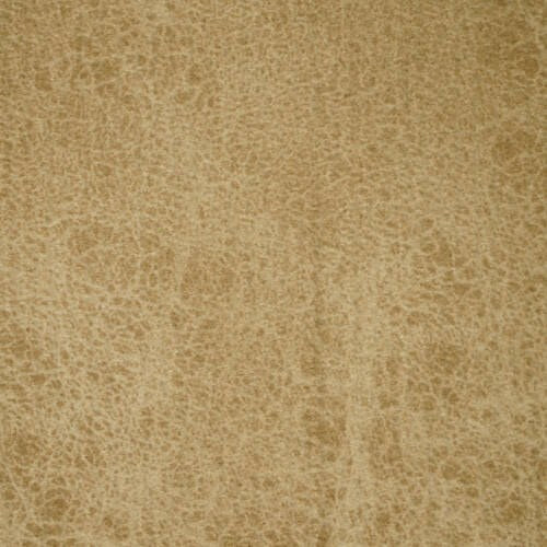 Rex - Camel