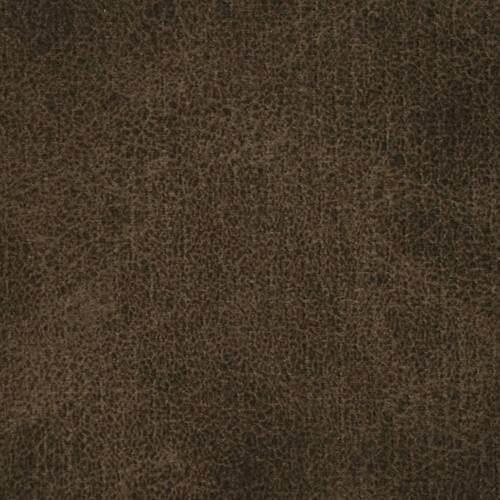 Rex - Mocha