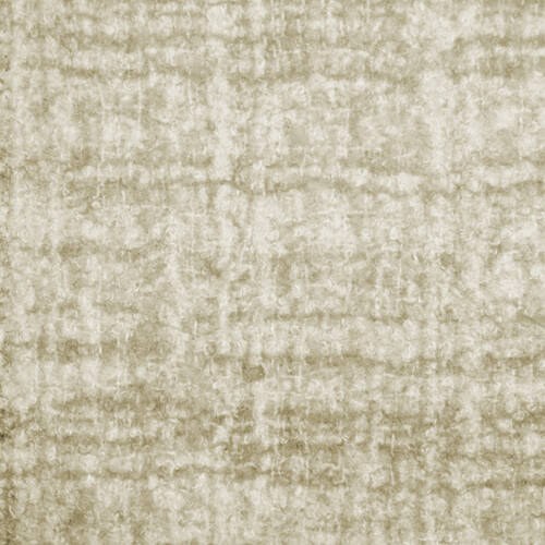 Rome - Bone