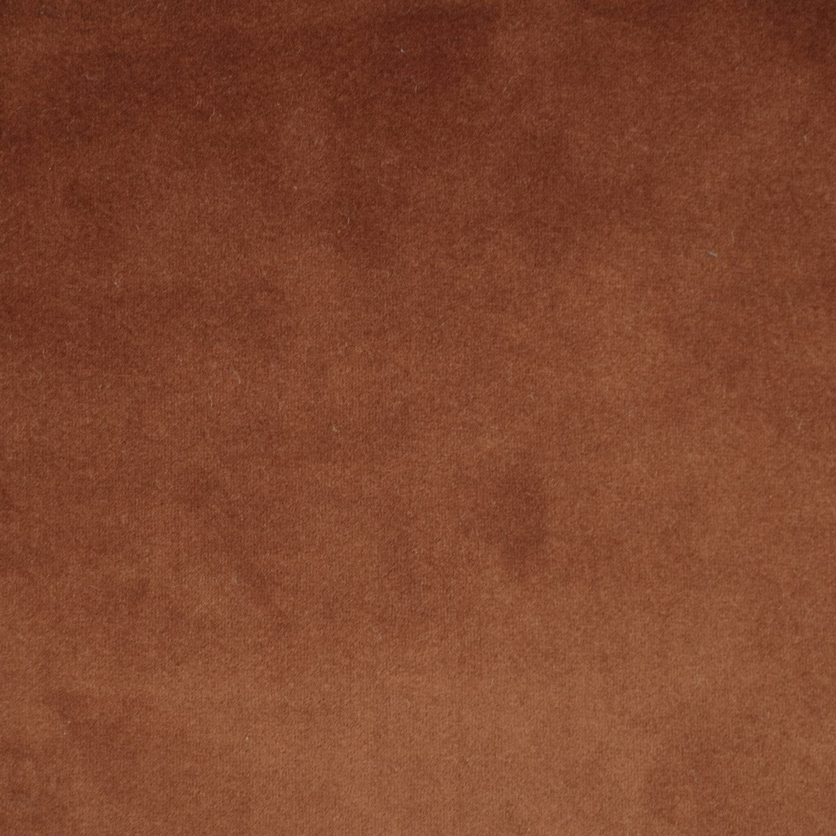 Royale - Rust