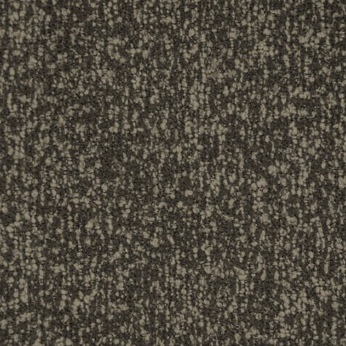 Sense - Cub