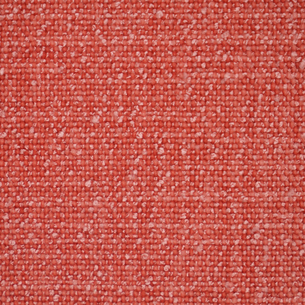 Shay - Coral