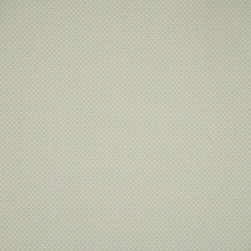 Sun Avila - Ivory