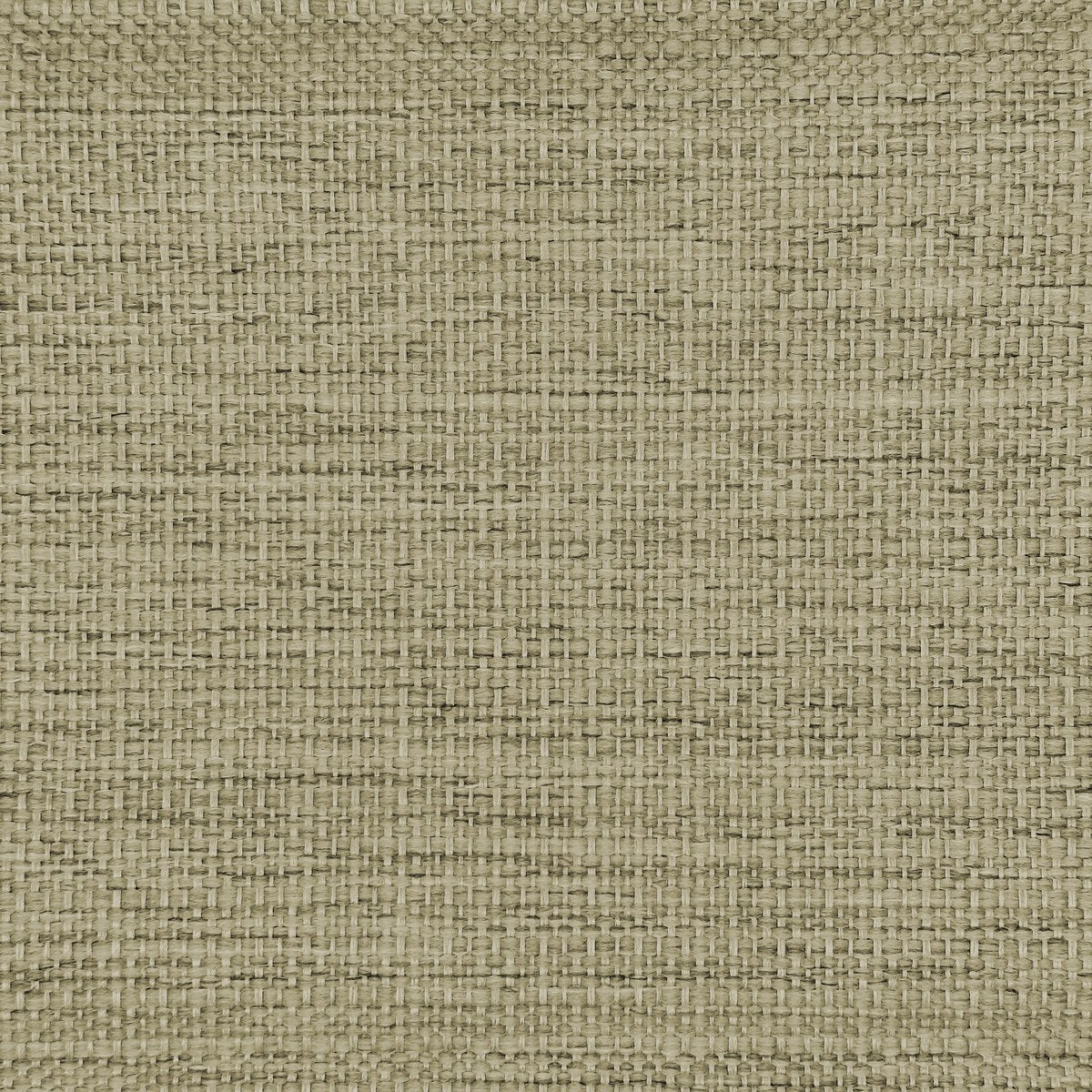 Sun Tropez - Cashew