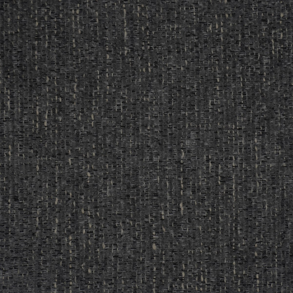 Tally-UV - Carbon