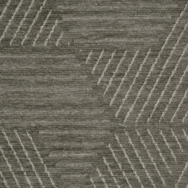 Tectra - Birch