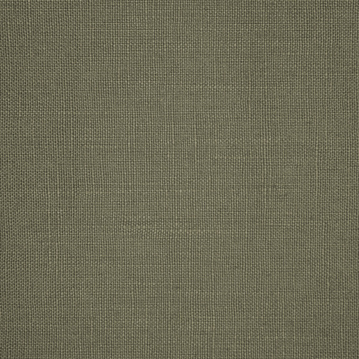 Vintage - Mocha