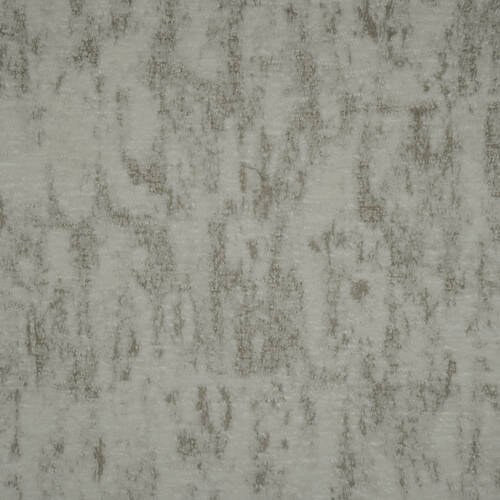 Zazu - C0 Dove