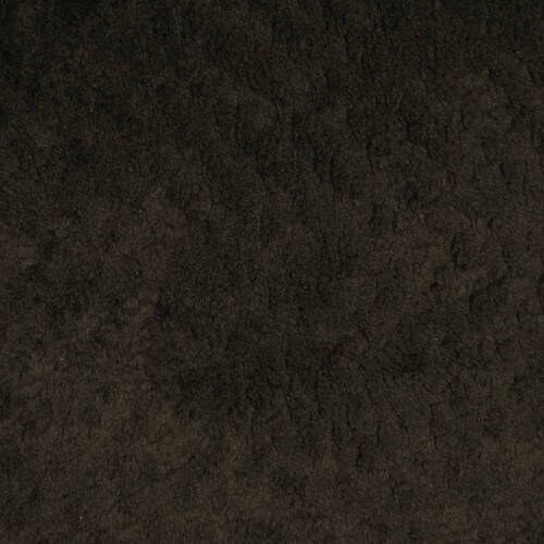 Zeke - Espresso