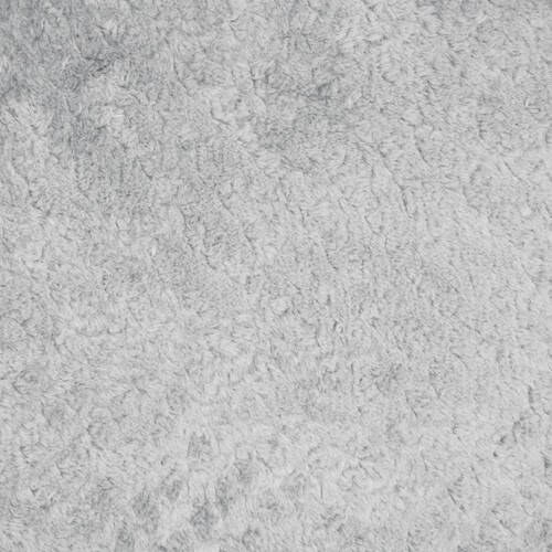 Zeke - Snow
